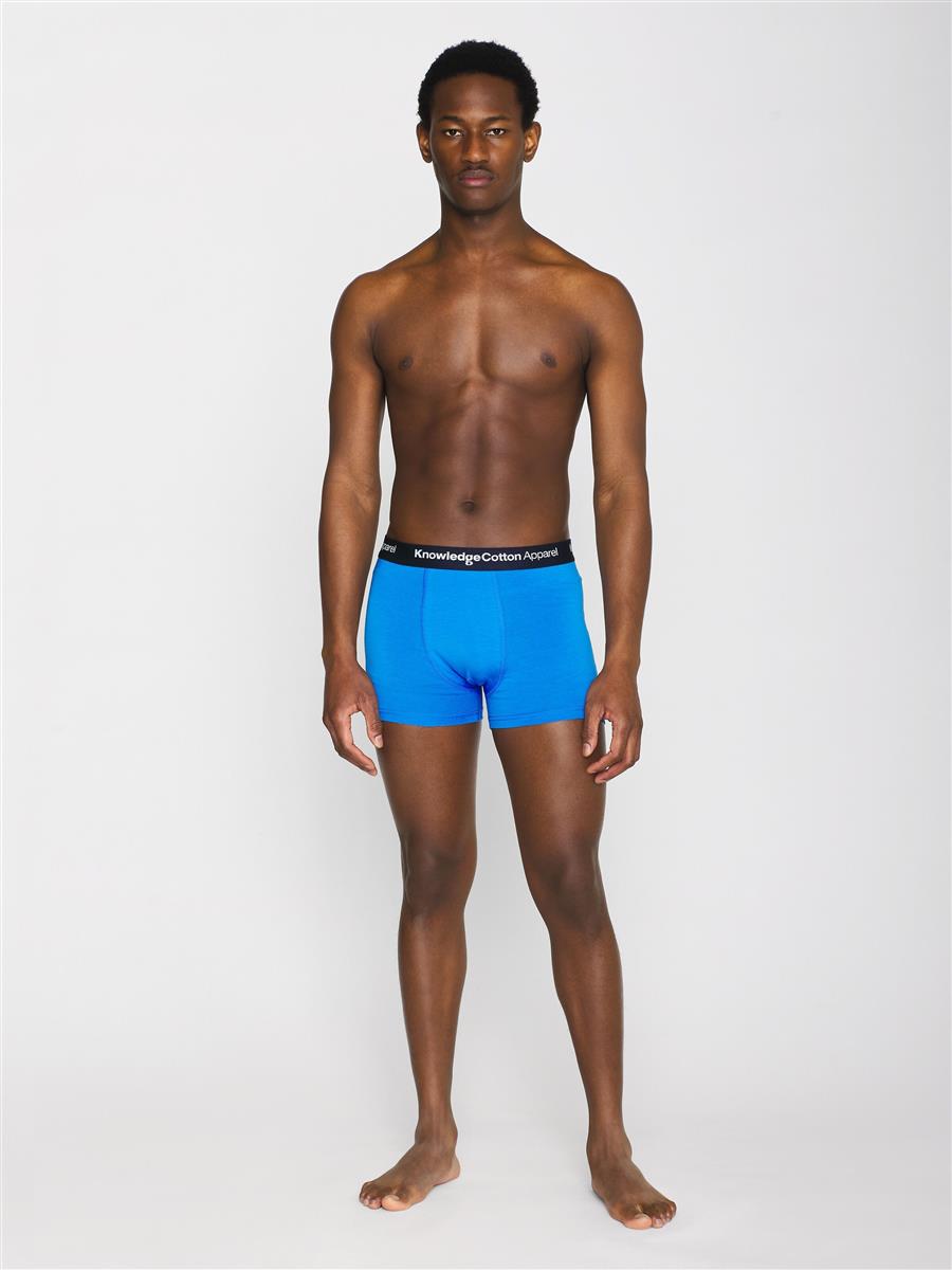 3-Pack Christmas Underwear