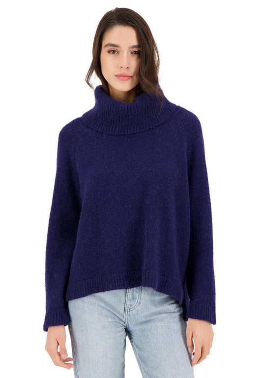 Bleuenn Turtle Neck Sweater