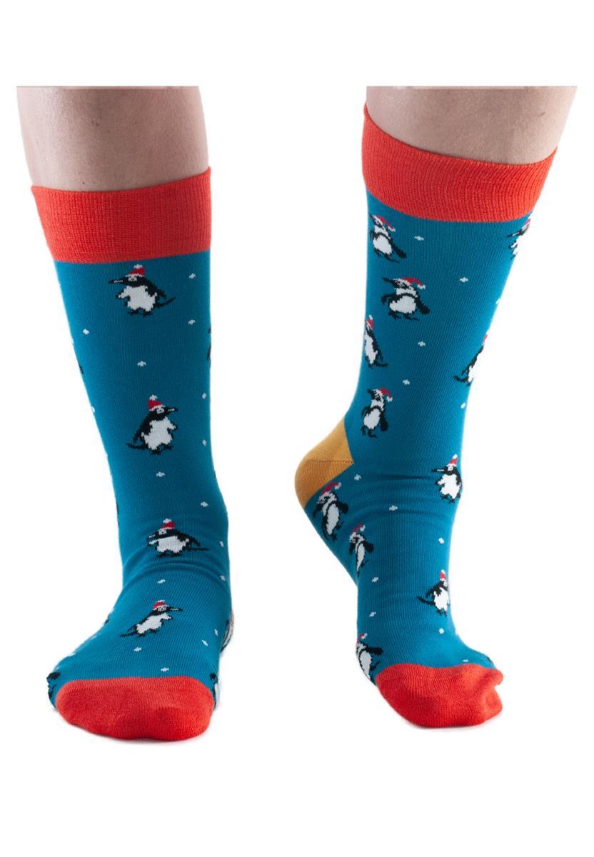Penguin Klein