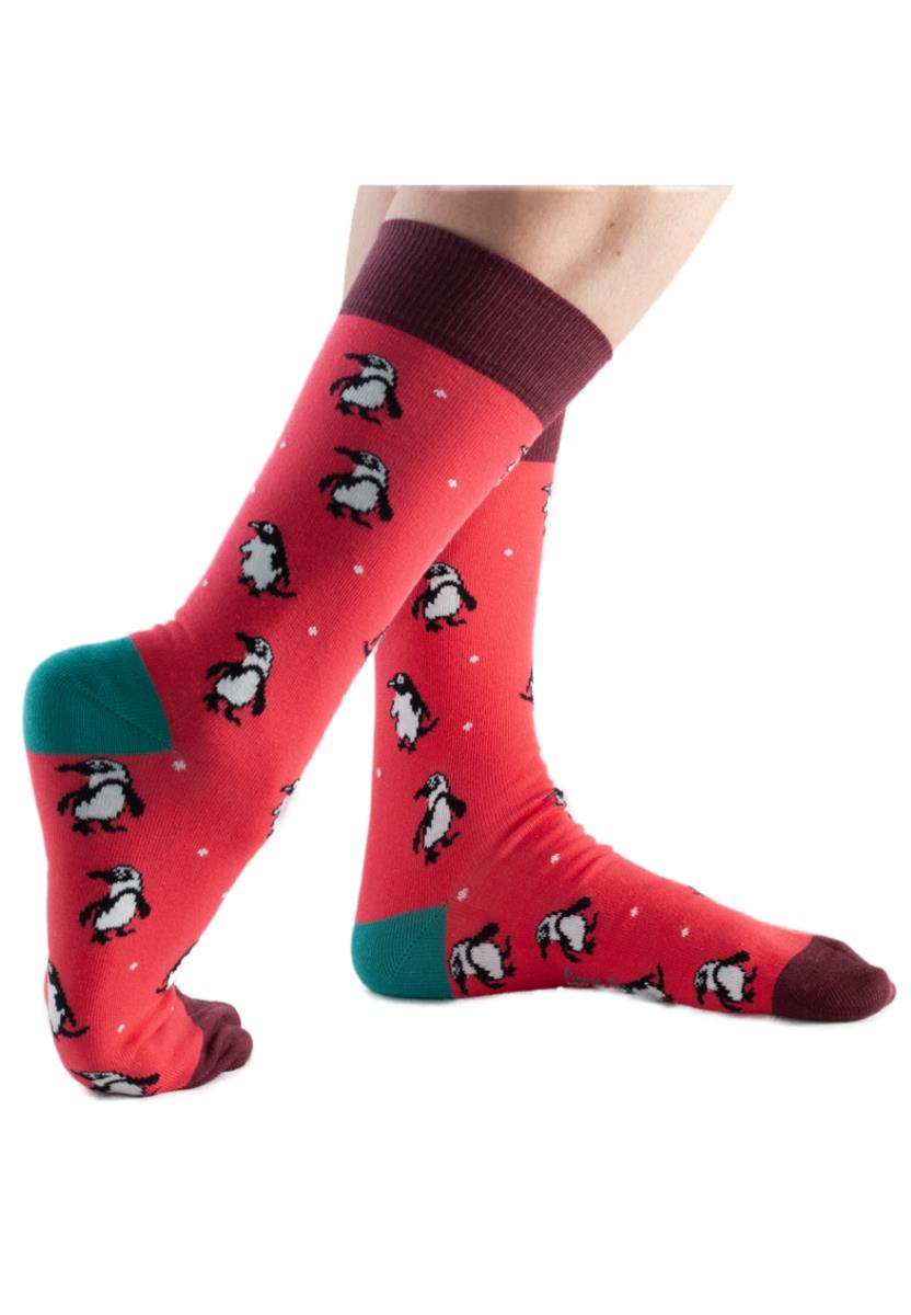 Penguin Klein