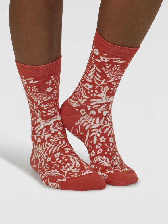 Yaella Woodlands Organic Cotton 4 Pack Sock Box