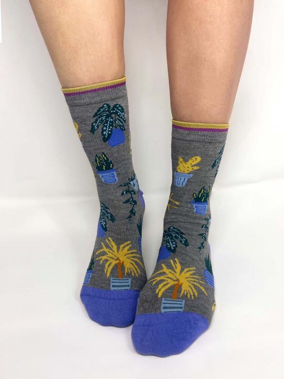 Dracaena House Plant Bamboo Socks In A Bag