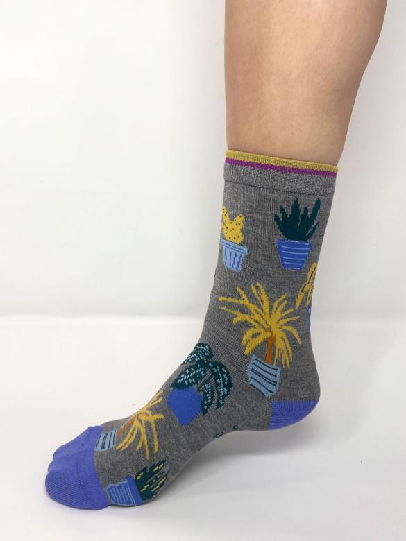 Dracaena House Plant Bamboo Socks In A Bag