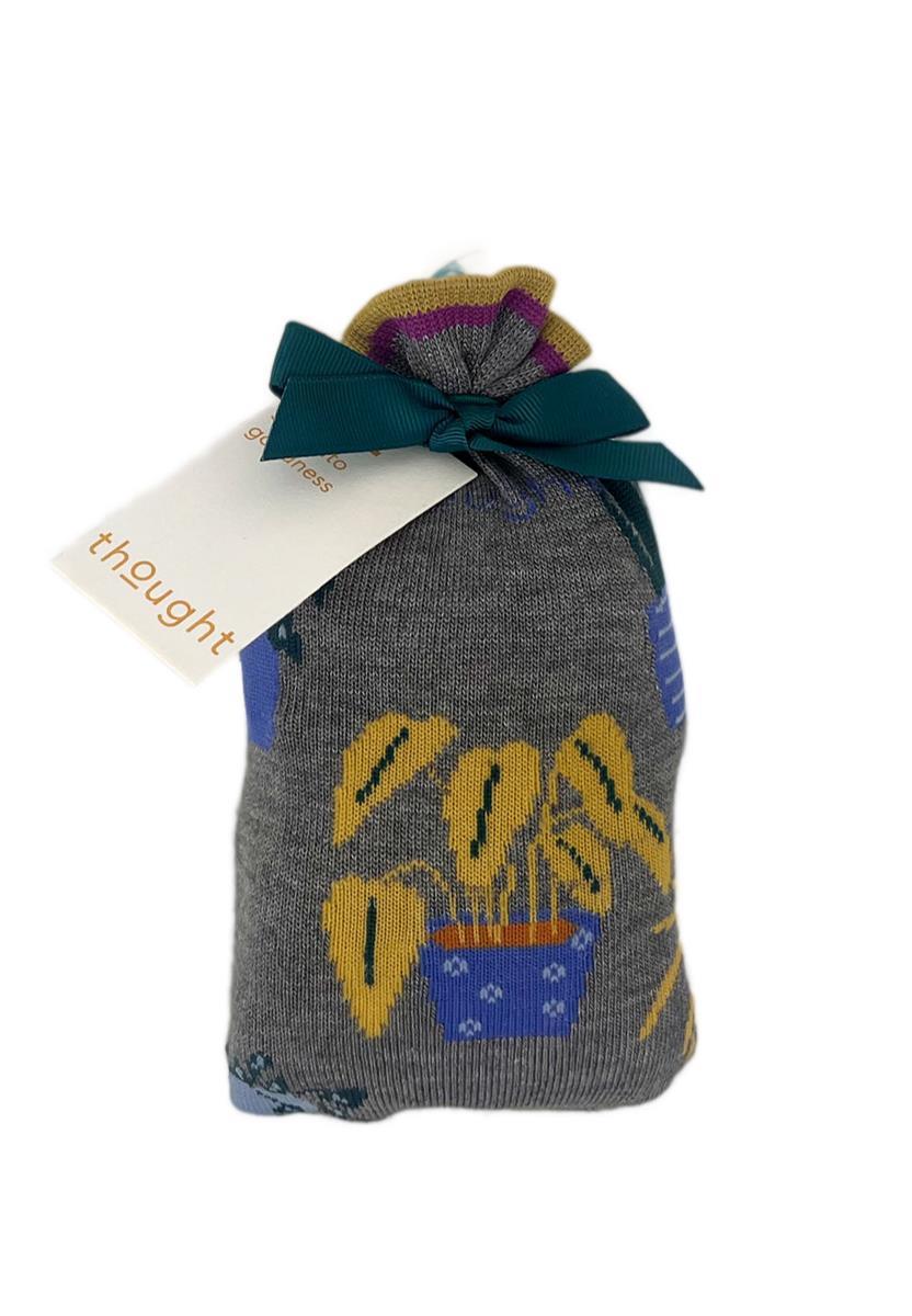 Dracaena House Plant Bamboo Socks In A Bag