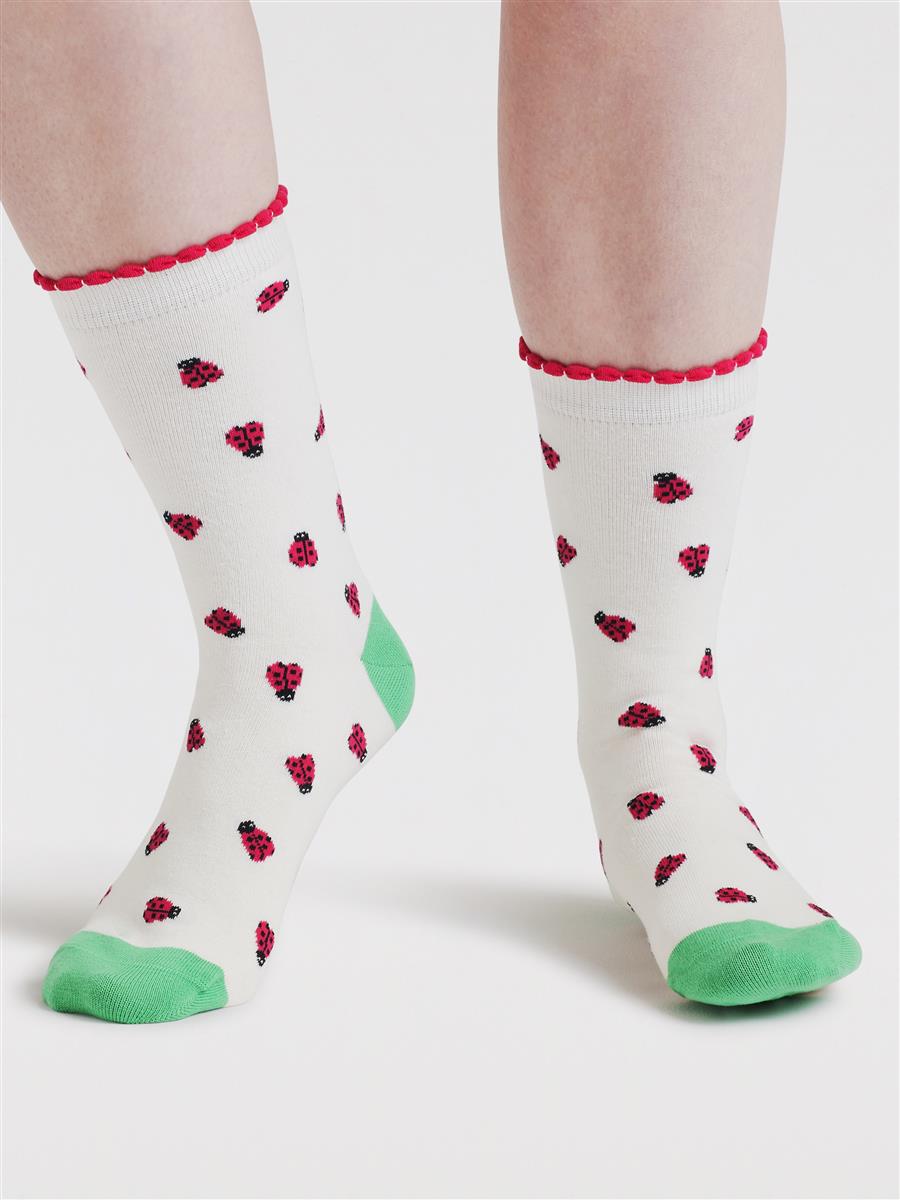 Cloris Insect Organic Cotton 4 Sock Gift Box