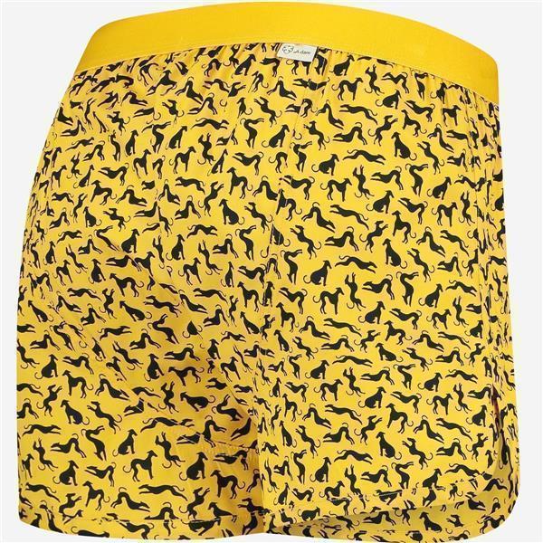 Boxer Shorts