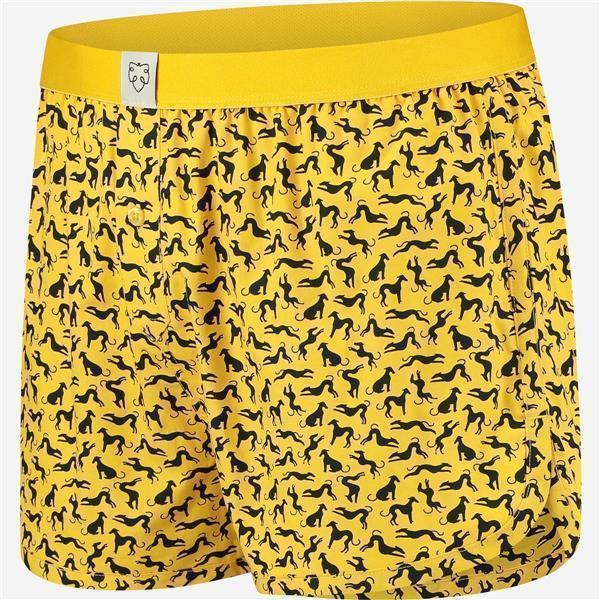 Boxer Shorts