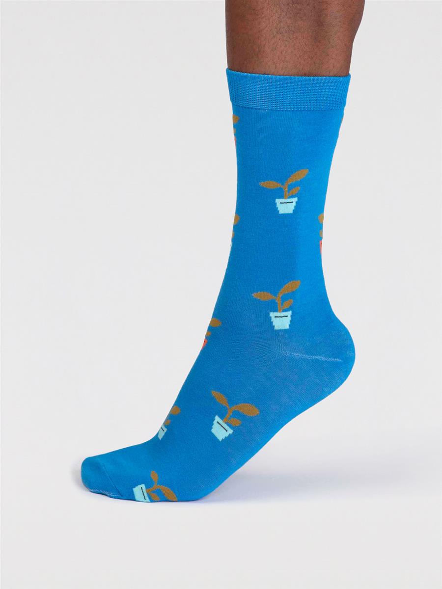 Norman Gardening Sock Box