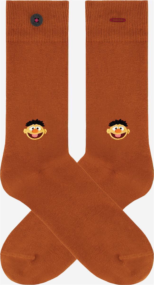 Sesame 2P