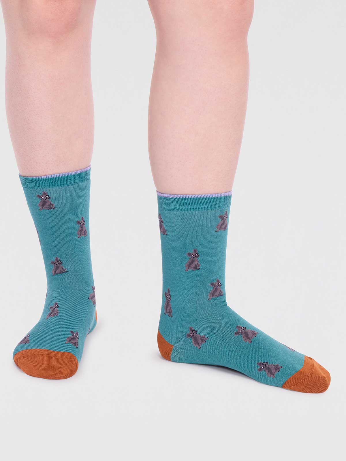 Kenna Dog Socks
