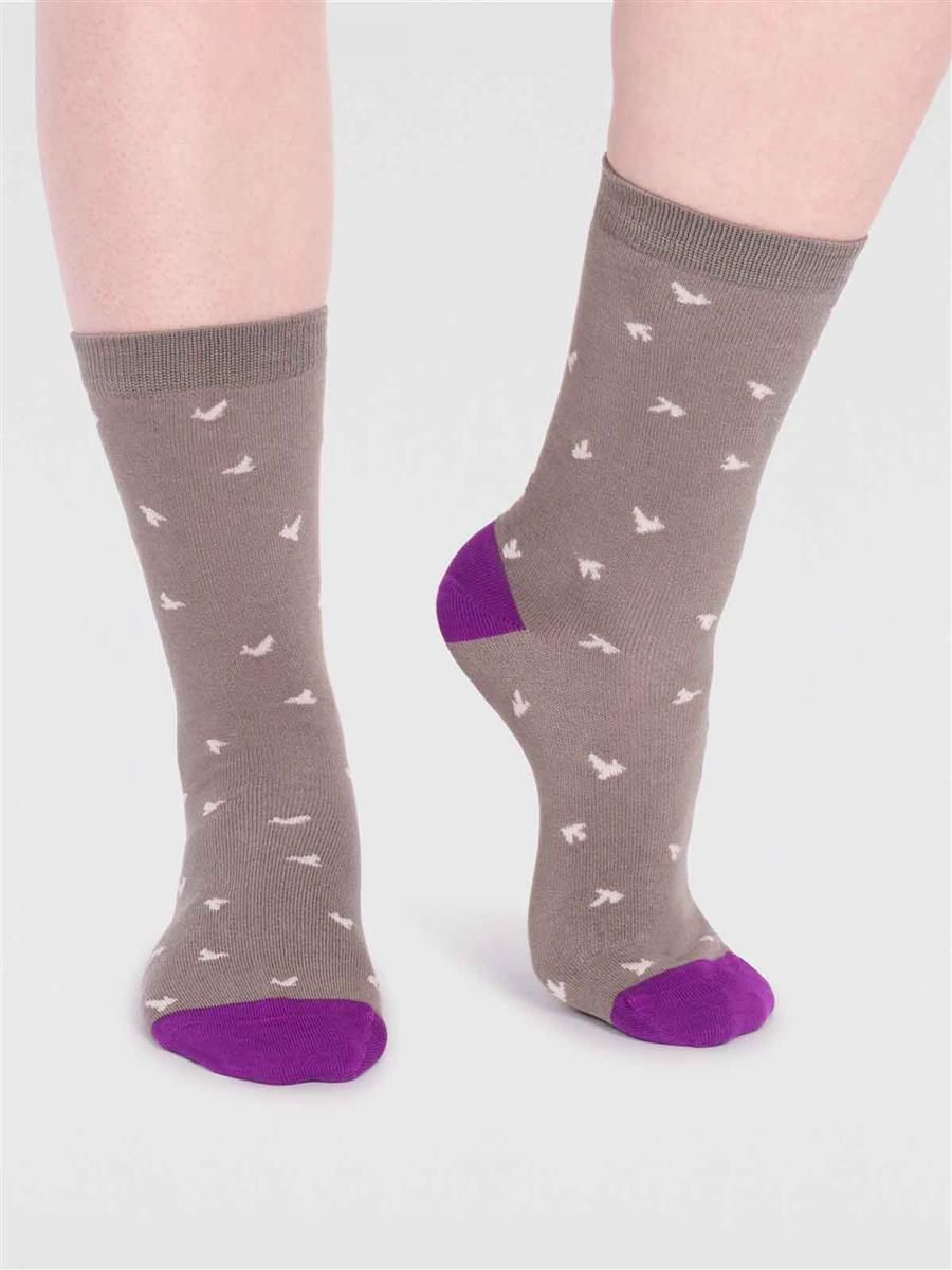 Wren Bird Socks