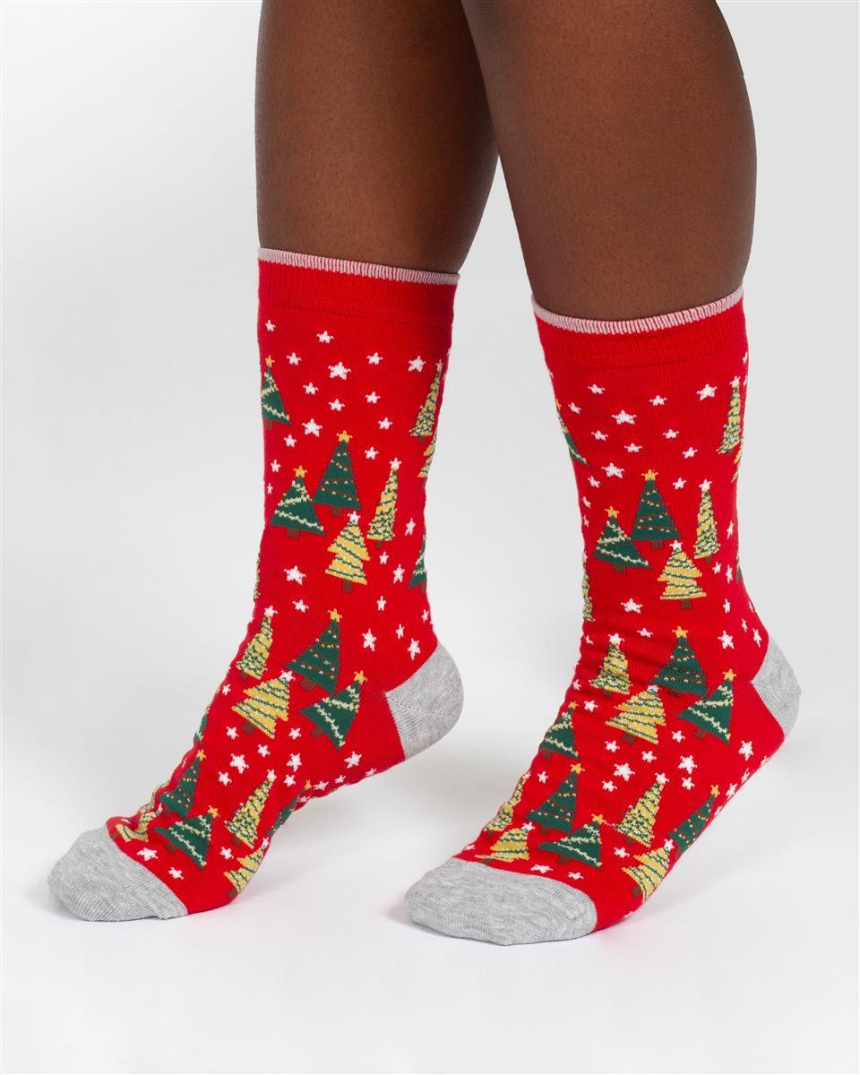 Christmas Candy Cane And Star Gift Box of 4 Socks