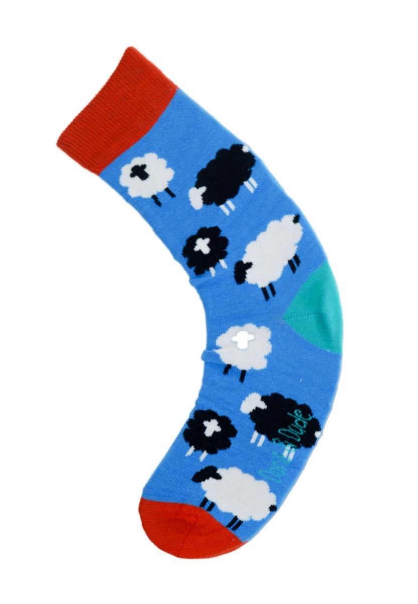 Sheep Klein