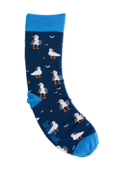 Seagull klein