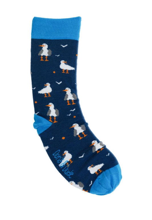 Seagull klein