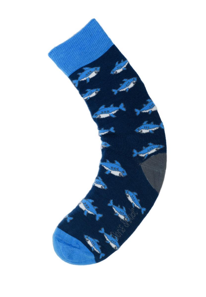 Shark Groß