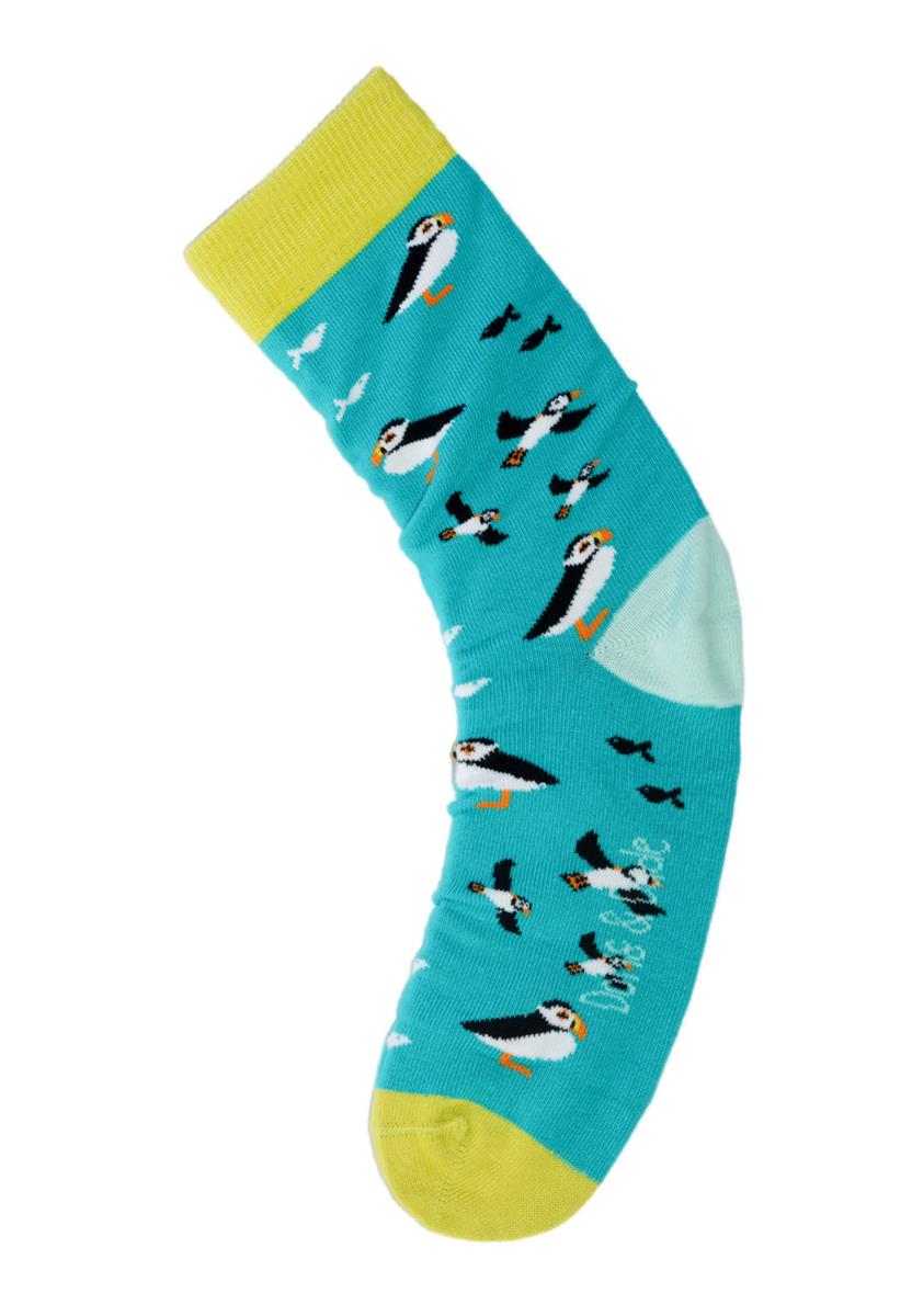 Puffin groß