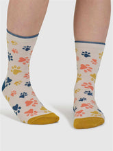 Laden Sie das Bild in den Galerie-Viewer, Sasha Cat Organic Cotton 4 Pack Sock Box
