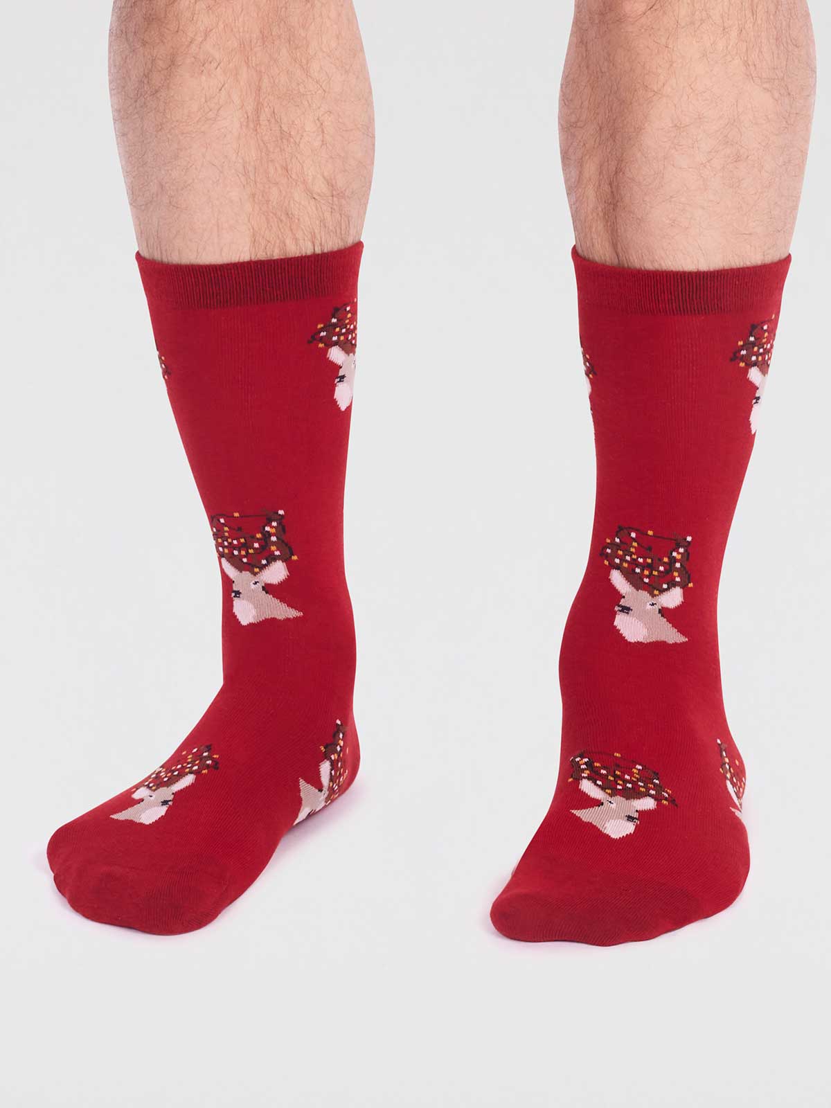 Celyn Christmas Stag Socks