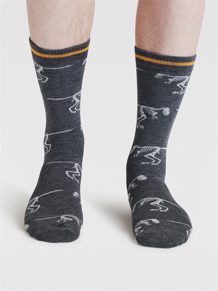 Delta Dinosaur Bamboo Socks