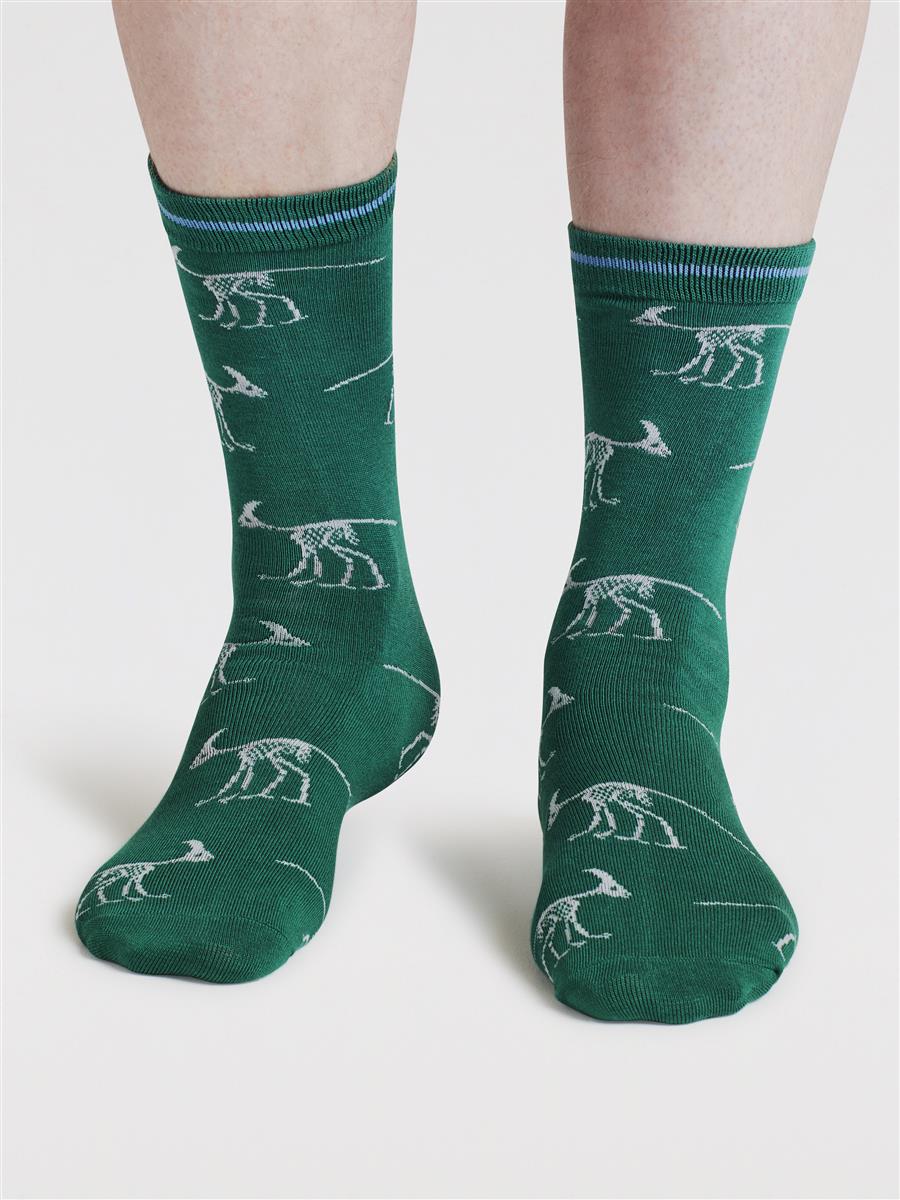 Delta Dinosaur Bamboo Socks