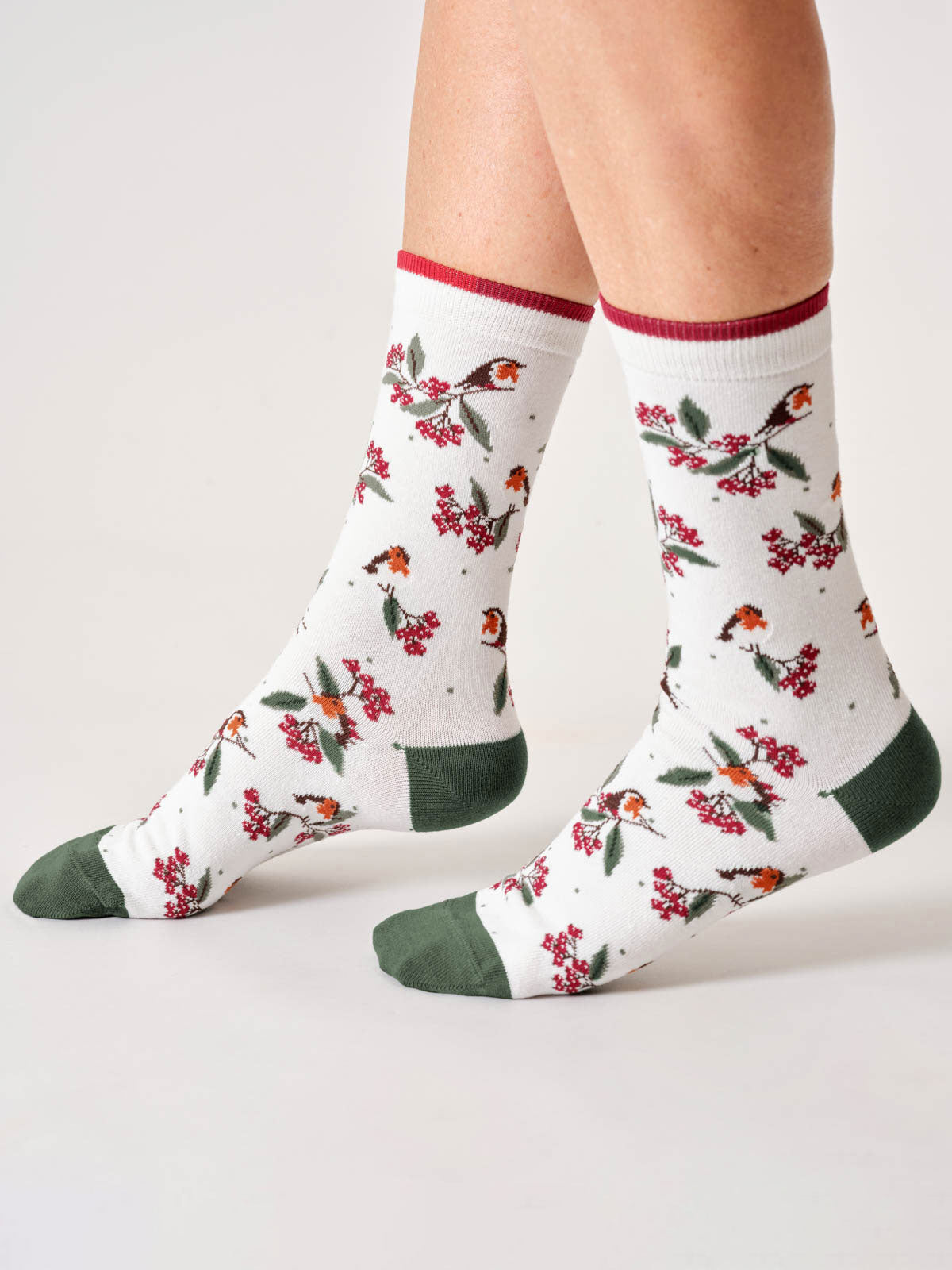 Womens Winter Robin Organic Cotton Crew Socks