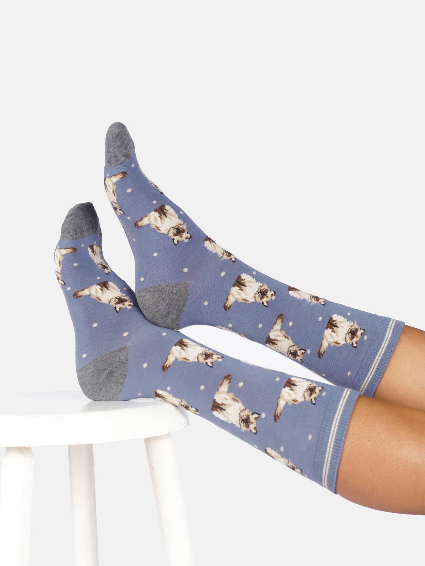 Womens Cats And Dogs Bamboo Crew Socks