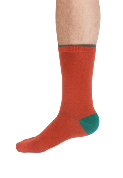 Mens Modal Tipped Crew Socks