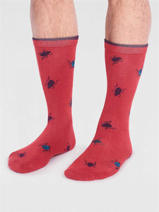 Brody Bug Socks
